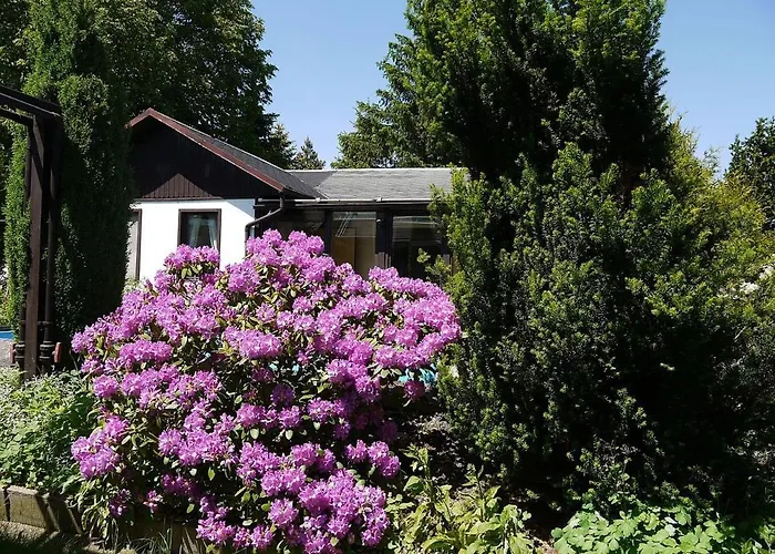 Ferienhaus Maxen
